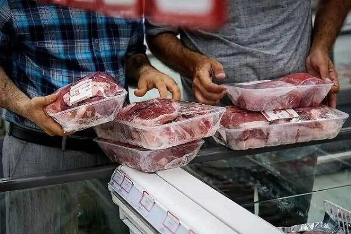 آغاز عرضه گوشت وارداتی با قیمت زیر۷۰۰تومان؛ گزینه‌ای ارزان‌تر برای بازار پرنوسان