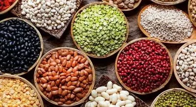 تصمیم دولت برای ساماندهی بازار؛ کاهش قیمت لوبیا چیتی در راه است؟