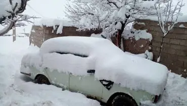 بارش سنگین برف در زنجان+ فیلم