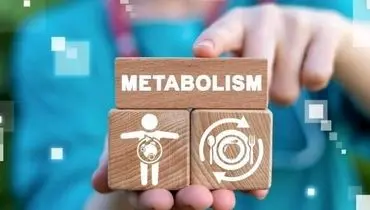 
عوامل اثرگذار بر سوخت‌وساز بدن