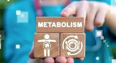 
عوامل اثرگذار بر سوخت‌وساز بدن