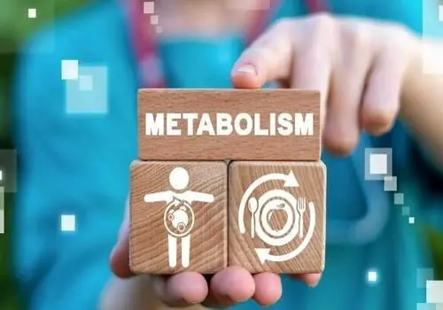 رژیم ضد پیری چیست و شامل چه موادی است؟