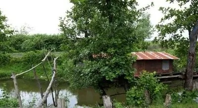 نگینی سرسبز وکهن در دل جنگل‌های هیرکانی+تصاویر