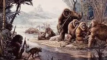 غول‌پیکرترین میمون جهان چگونه از بین رفت؟

