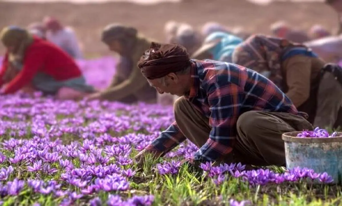 قیمت زعفران در بازار شب عید +جدول