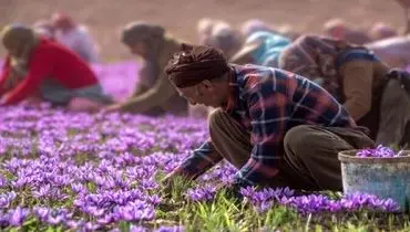 قیمت زعفران در بازار شب عید +جدول