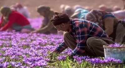 قیمت زعفران در بازار شب عید +جدول