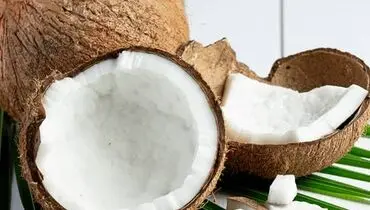 نارگیل و خاصیت بی نظیر آن برای معده

