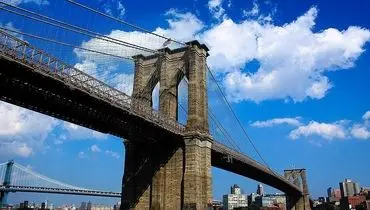 روش عجیب استفاده از فیل ها برای سنجش استحکام و امنیت پل + عکس