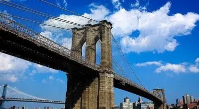 روش عجیب استفاده از فیل ها برای سنجش استحکام و امنیت پل + عکس