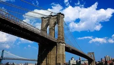 روش عجیب استفاده از فیل ها برای سنجش استحکام و امنیت پل + عکس