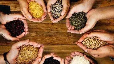 از خوردن این دانه های خوراکی غافل نشوید!