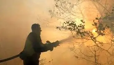 جنگل‌های الیت همچنان در آتش می‌سوزد