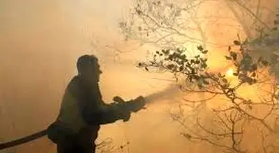 جنگل‌های الیت همچنان در آتش می‌سوزد