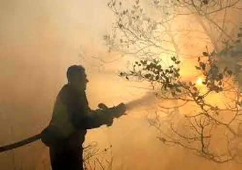 جنگل‌های الیت همچنان در آتش می‌سوزد