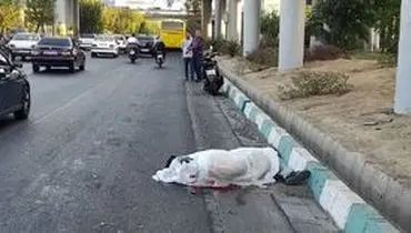 تصادف دلخراش اتوبوس و موتورسیکلت در بزرگراه شهید نواب