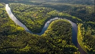 بزرگ‌ترین جنگل جهان کجاست؟