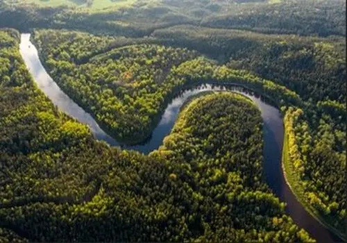 بزرگ‌ترین جنگل جهان کجاست؟