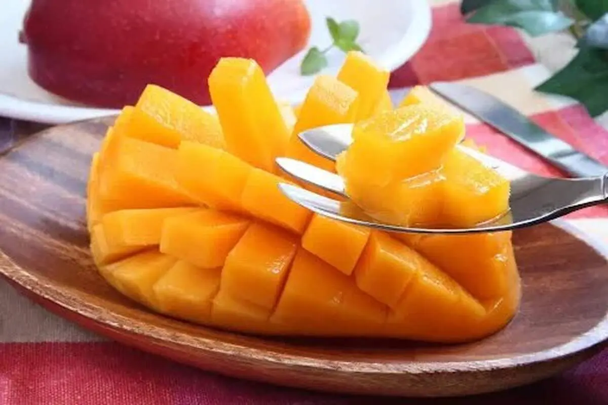 فواید شگفت‌انگیز انبه؛ از احساس سیری تا بهبود سلامت مغز و روده