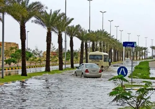 سیلاب در پارسیان ۲۰۶ را با خود برد+ فیلم