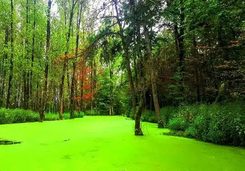 درخواست رسمی ایران از یونسکو