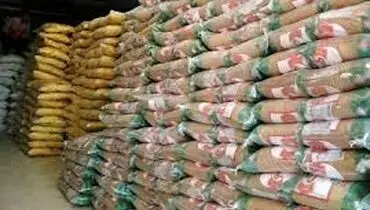  کشف بزرگ در پایتخت؛ ۴۱ هزار تُن برنج و نهاده دامی قاچاق و احتکاری ضبط شد