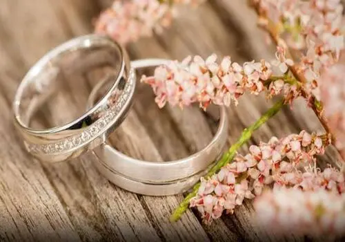 ترسناک ترین صدای طبیعت متعلق به این خانواده درنده است +فیلم