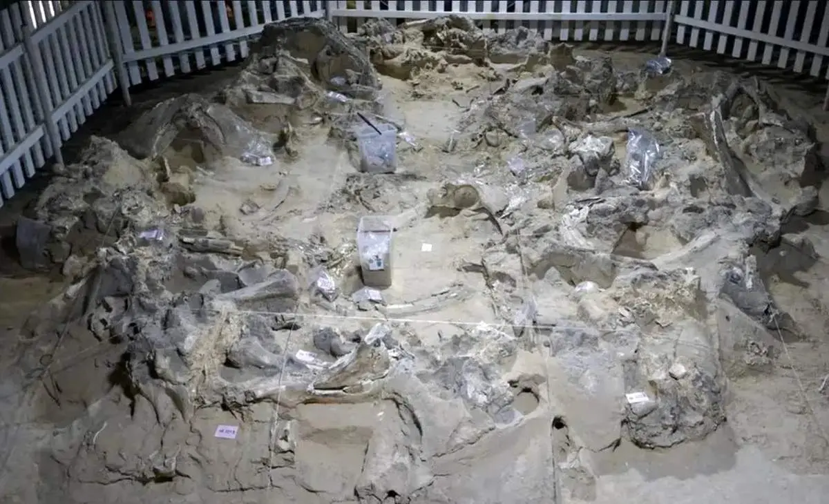 کشف سکونتگاه‌های باستانی از استخوان ماموت + عکس