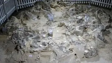 کشف سکونتگاه‌های باستانی از استخوان ماموت + عکس