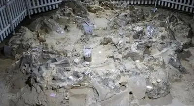 کشف سکونتگاه‌های باستانی از استخوان ماموت + عکس