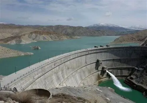 مرگ دست جمعی درختان  شمال کشور؛ بحران جدی محیط زیستی ایران