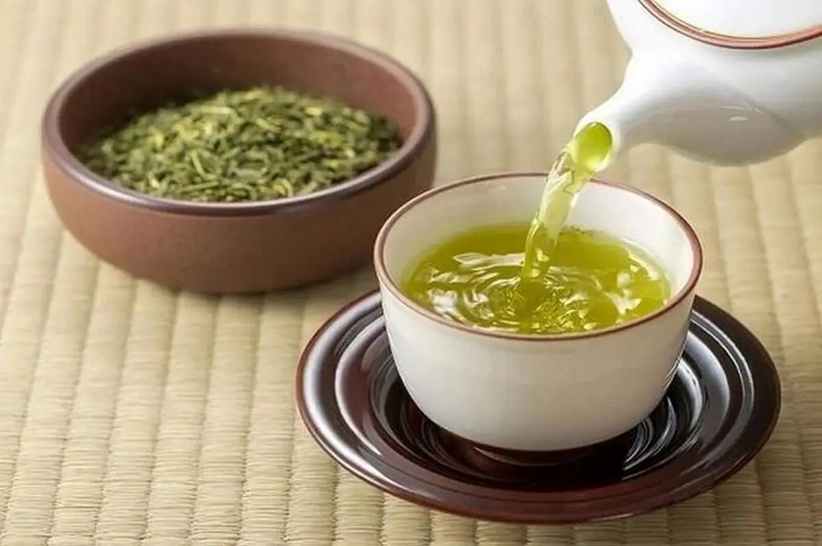 ۵ گیاه مؤثر برای تقویت حافظه و تمرکز