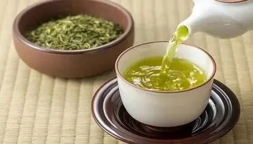 ۵ گیاه مؤثر برای تقویت حافظه و تمرکز