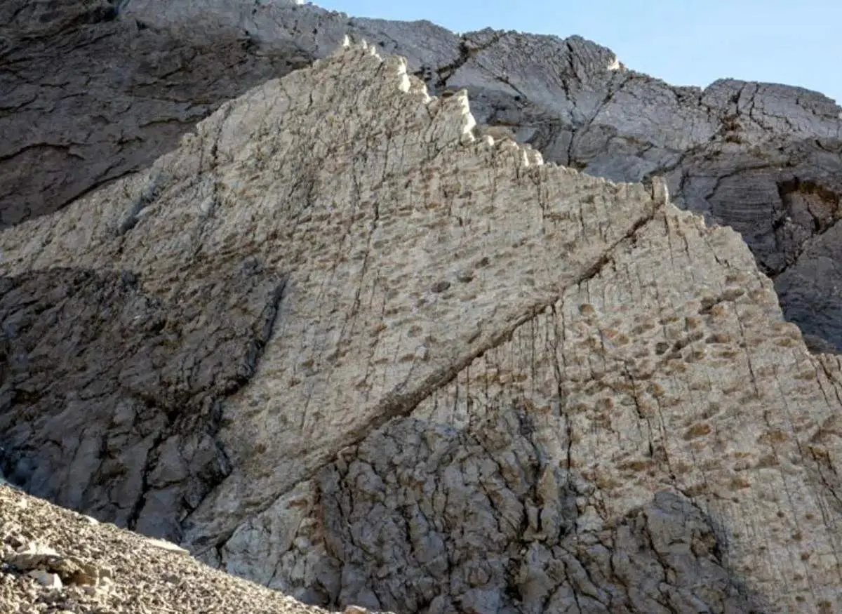 کشف هزاران ردپای ۲۰۰ میلیون ساله بر صخره‌ای عمودی + عکس