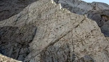 کشف هزاران ردپای ۲۰۰ میلیون ساله بر صخره‌ای عمودی + عکس