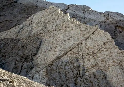 کشف هزاران ردپای ۲۰۰ میلیون ساله بر صخره‌ای عمودی + عکس