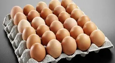 هر کارتن تخم مرغ یک میلیون و ۴۵۰ هزار تومان

