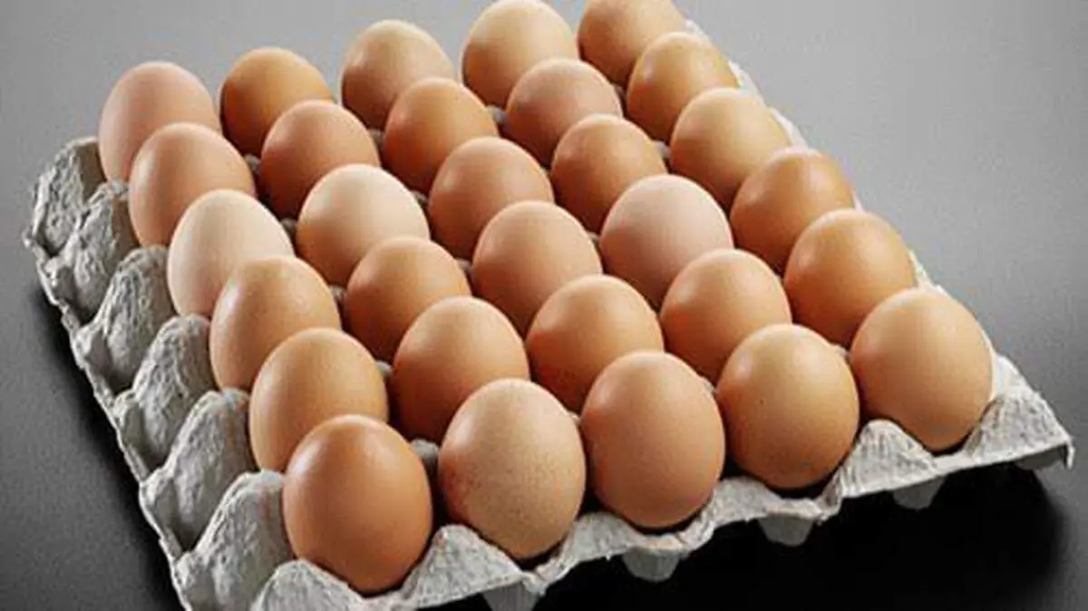 هر کارتن تخم مرغ یک میلیون و ۴۵۰ هزار تومان

