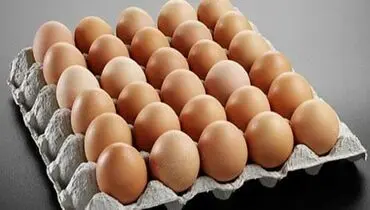 هر کارتن تخم مرغ یک میلیون و ۴۵۰ هزار تومان

