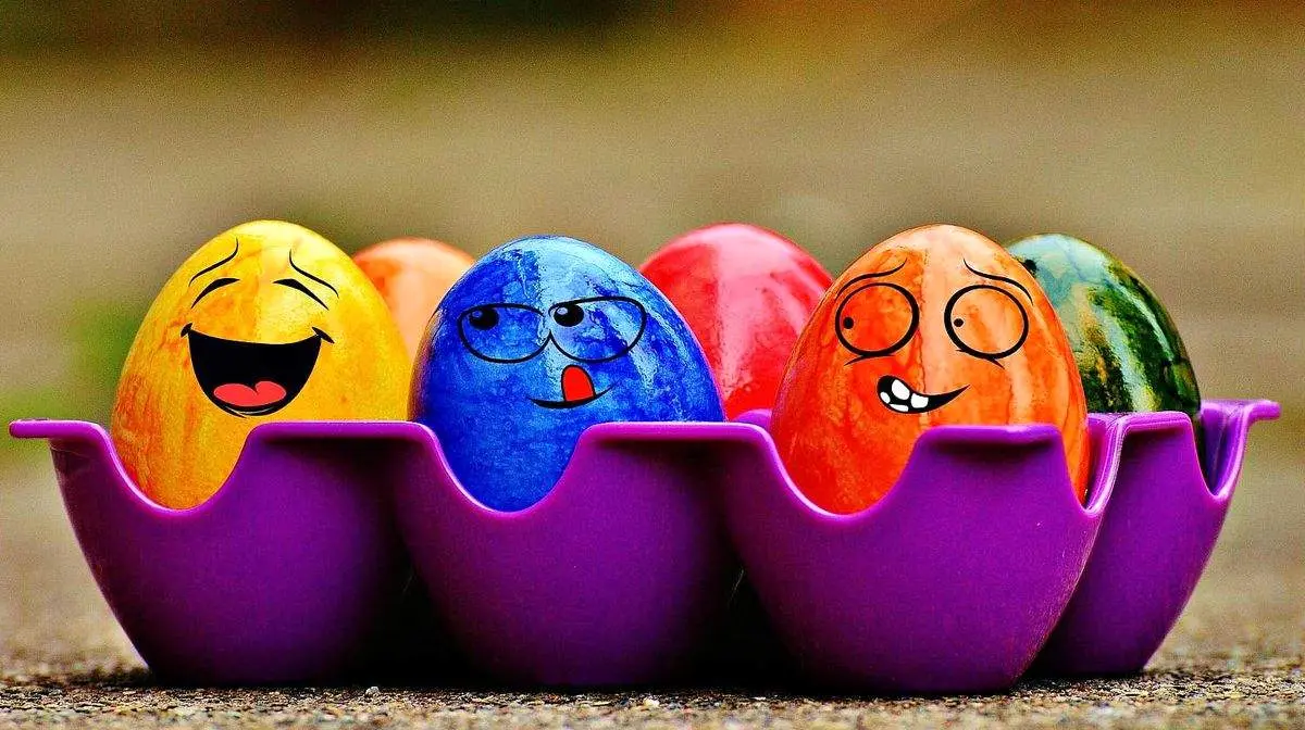 بازی‌کردن این حیوان عجیب‌ با تخم‌مرغ‌های عید وایرال شد+ فیلم