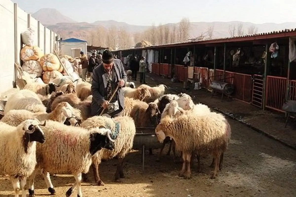 خطرناکترین بیماریهای مشترک انسان و حیوان