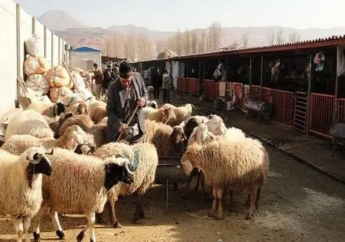 درمان این بیماری رایگان است

