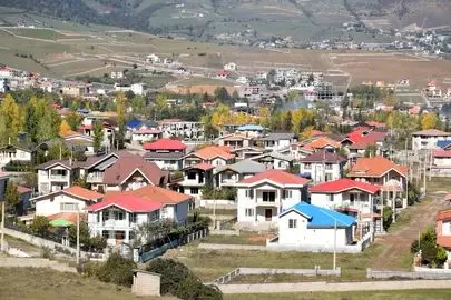 قابی دردناک و نگران کننده از جنگل‌خواری در کلاردشت مازندران