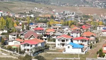 قابی دردناک و نگران کننده از جنگل‌خواری در کلاردشت مازندران