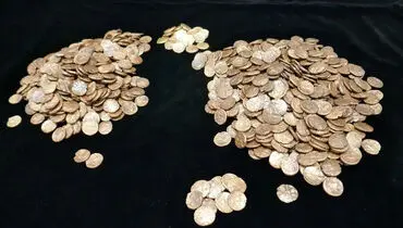 یافتن گنجینه‌ای ۷۰۰ ساله از زیر معبد؛ سکه‌های تاریخی کشف شدند + عکس


