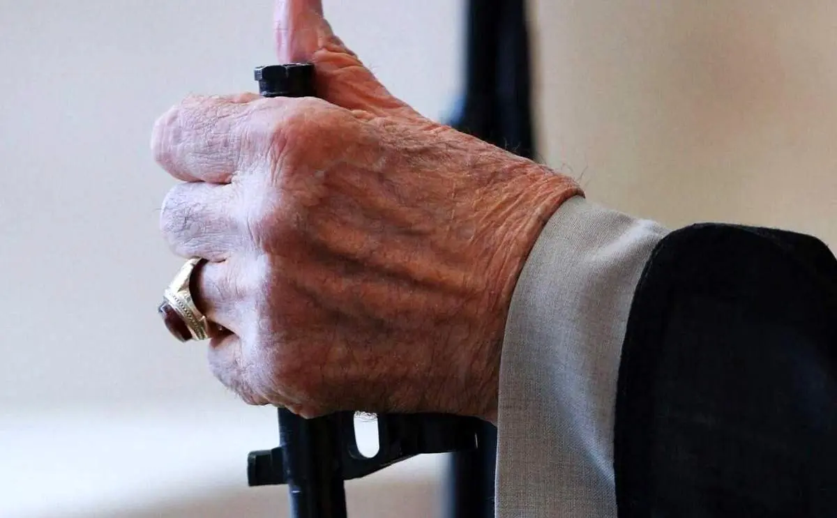 عراقچی: پرچمی که رهبر انقلاب برافراشت، بر زمین نخواهد ماند