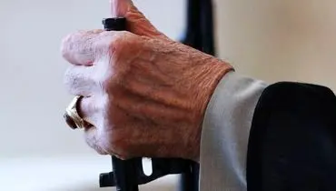 عراقچی: پرچمی که رهبر انقلاب برافراشت، بر زمین نخواهد ماند