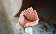 اعمال شب و روز ۲۸ صفر ؛ از زیارت پیامبر(ص) تا روزه و صدقه | ۲۸ صفر چه روزی است؟