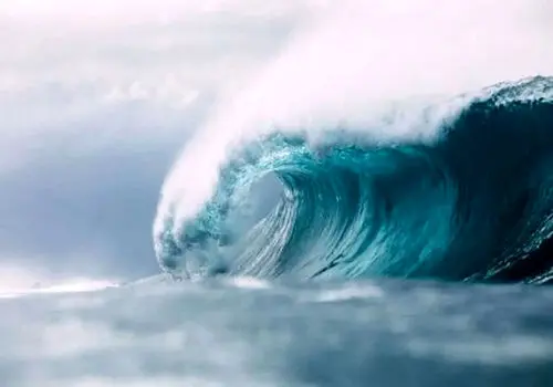صحنه جالب آواز خواندن یک وال بزرگ در اعماق اقیانوس+ فیلم