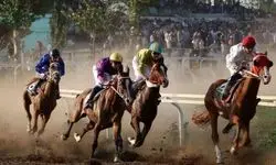 فوت چابکسوار در مسابقه اسبدوانی بندر ترکمن+ فیلم
